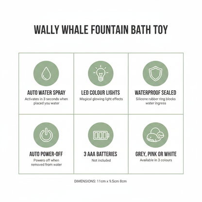 Wally Whale Infographic – Updated Colours